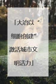 大冶以“细胞创建”激活城市文明活力