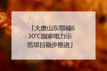 大唐山东郓城630℃国家电力示范项目稳步推进