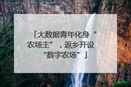 大数据青年化身“农场主”，返乡开设“数字农场”