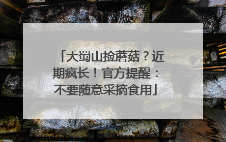 大蜀山捡蘑菇？近期疯长！官方提醒：不要随意采摘食用