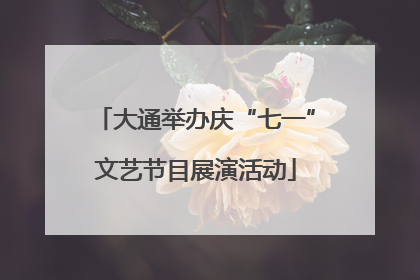 大通举办庆“七一”文艺节目展演活动