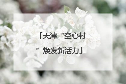 天津“空心村”焕发新活力