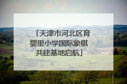 天津市河北区育婴里小学国际象棋共建基地启航