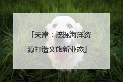 天津：挖掘海洋资源打造文旅新业态