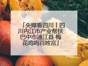 央媒看四川丨四川内江市产业帮扶巴中市通江县 梅花鸡鸣百姓富