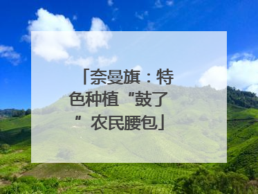 奈曼旗：特色种植“鼓了”农民腰包