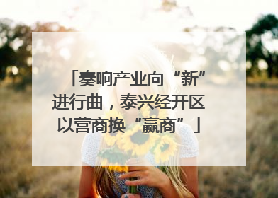 奏响产业向“新”进行曲，泰兴经开区以营商换“赢商”