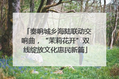 奏响城乡海陆联动交响曲，“茉莉花开”双线绽放文化惠民新篇