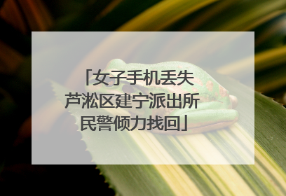 女子手机丢失 芦淞区建宁派出所民警倾力找回
