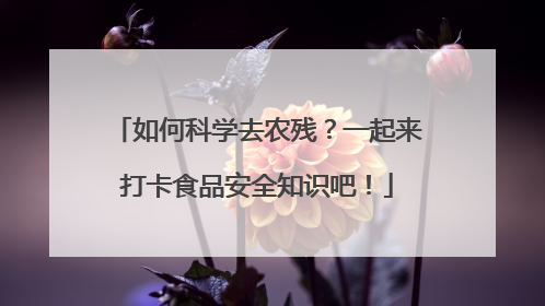 如何科学去农残？一起来打卡食品安全知识吧！