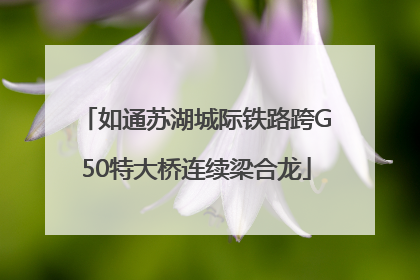 如通苏湖城际铁路跨G50特大桥连续梁合龙