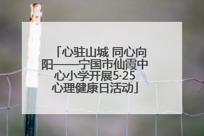 心驻山城 同心向阳——宁国市仙霞中心小学开展5·25心理健康日活动