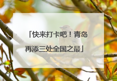 快来打卡吧！青岛再添三处全国之最
