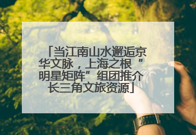 当江南山水邂逅京华文脉，上海之根“明星矩阵”组团推介长三角文旅资源