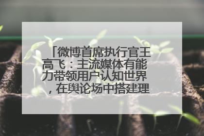 微博首席执行官王高飞：主流媒体有能力带领用户认知世界，在舆论场中搭建理性的讨论空间