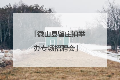 微山县留庄镇举办专场招聘会