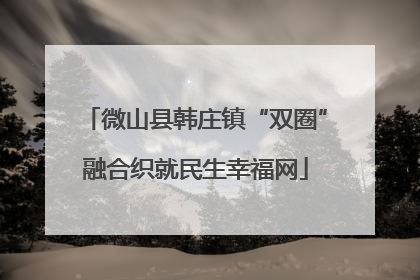 微山县韩庄镇“双圈”融合织就民生幸福网