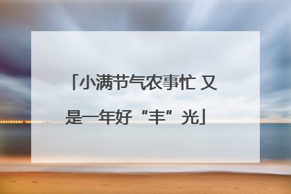小满节气农事忙 又是一年好“丰”光