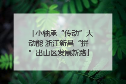 小轴承“传动”大动能 浙江新昌“拼”出山区发展新路