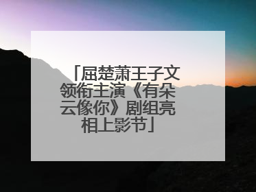 屈楚萧王子文领衔主演《有朵云像你》剧组亮相上影节