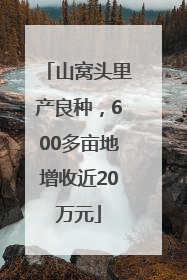 山窝头里产良种，600多亩地增收近20万元
