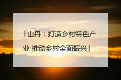 山丹：打造乡村特色产业 推动乡村全面振兴