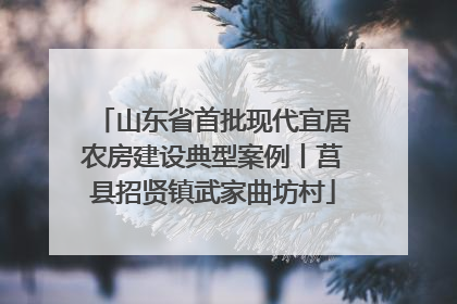 山东省首批现代宜居农房建设典型案例丨莒县招贤镇武家曲坊村