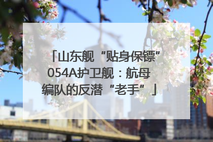 山东舰“贴身保镖”054A护卫舰：航母编队的反潜“老手”