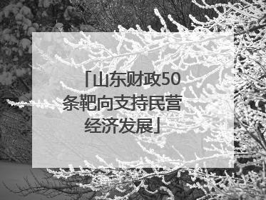 山东财政50条靶向支持民营经济发展