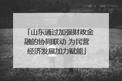 山东通过加强财政金融的协同联动 为民营经济发展加力赋能