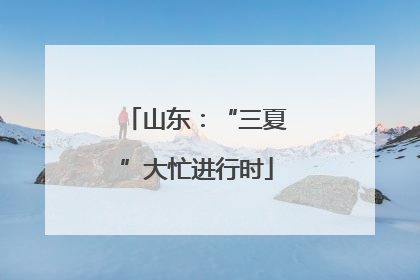 山东：“三夏”大忙进行时