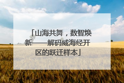 山海共舞，数智焕新——解码威海经开区的跃迁样本