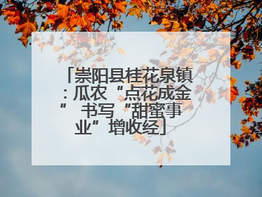 崇阳县桂花泉镇：瓜农“点花成金” 书写“甜蜜事业”增收经