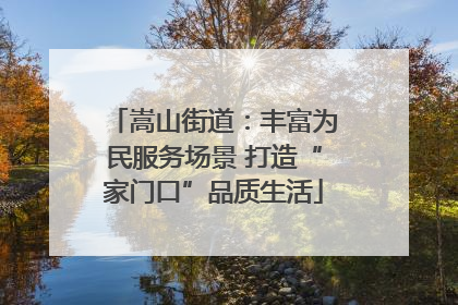 嵩山街道：丰富为民服务场景 打造“家门口”品质生活