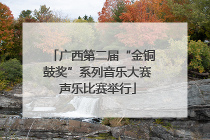 广西第二届“金铜鼓奖”系列音乐大赛声乐比赛举行