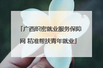 广西织密就业服务保障网 精准帮扶青年就业
