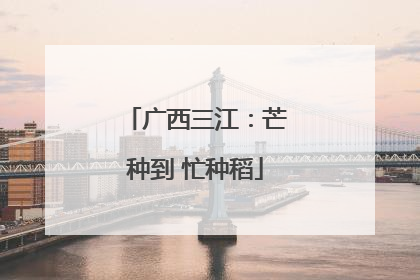 广西三江：芒种到 忙种稻