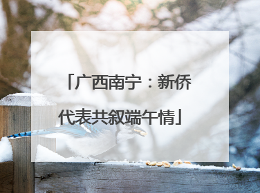 广西南宁：新侨代表共叙端午情