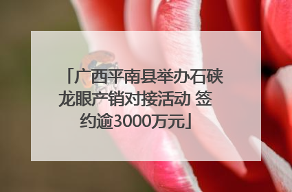 广西平南县举办石硖龙眼产销对接活动 签约逾3000万元