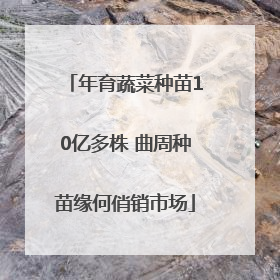 年育蔬菜种苗10亿多株 曲周种苗缘何俏销市场