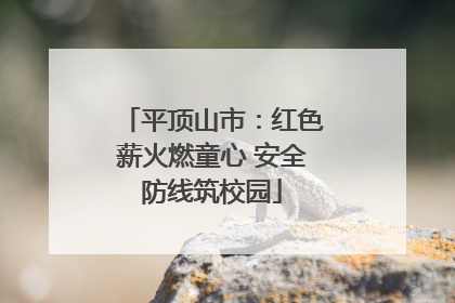 平顶山市：红色薪火燃童心 安全防线筑校园