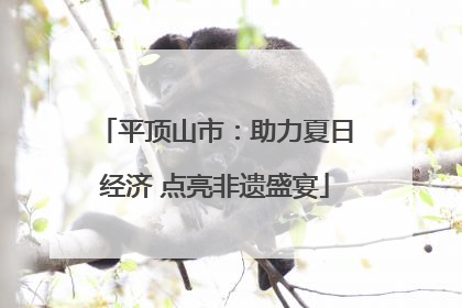 平顶山市：助力夏日经济 点亮非遗盛宴