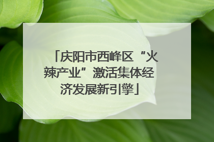 庆阳市西峰区“火辣产业”激活集体经济发展新引擎