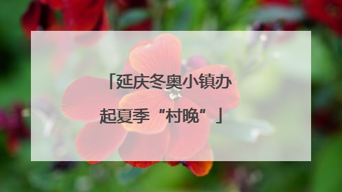 延庆冬奥小镇办起夏季“村晚”