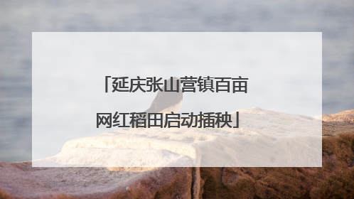 延庆张山营镇百亩网红稻田启动插秧