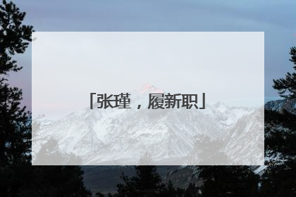 张瑾，履新职