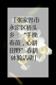 张家界市永定区桥头乡：“手挽春苗，心耕田野”春耕体验活动