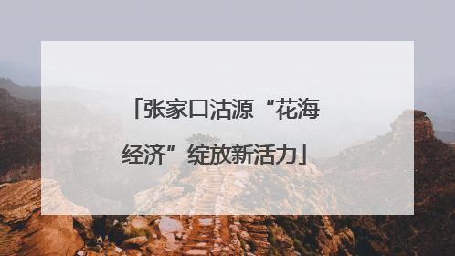张家口沽源“花海经济”绽放新活力