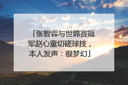 张智霖与世锦赛冠军赵心童切磋球技，本人发声：很梦幻