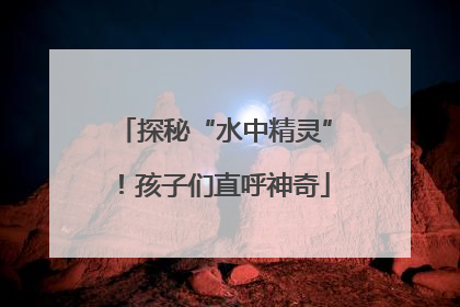 探秘“水中精灵”！孩子们直呼神奇